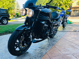 Triumph - 2 (1).jpg
