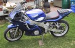 IMG_1037.jpg