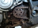 2011-04-12 14.06.58.jpg