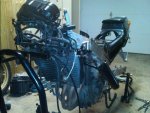 my project bike.jpg