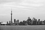 dt toronto.jpg