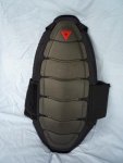 BackProt.jpg