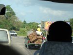 DSC00889.jpg