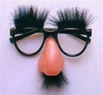 groucho glasses.jpg