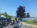 DSC00658.jpg