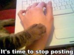 tumblr_ljhy6jvd1J1qzlr04o1_400.jpg