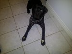 IMG-20110912-00051.jpg