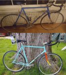 Before and After.jpg