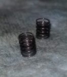 smallsmpring1.jpg