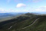WhiteFace.jpg