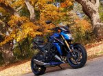 IMG_20191019_Autumn1.jpg