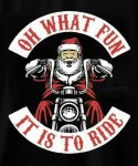 what fun to ride.jpg