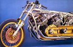 2105_russ_collins_03.jpg