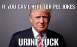 if-you-came-here-for-pee-jokes-urine-luck-mematic-11609702.png
