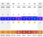Screen Shot 2020-06-19 at Jun, 19    2020    4.54.25 PM.jpg