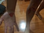 20180708_213904.jpg