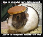 1595174073052.png