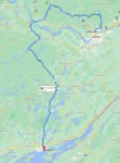 GattoKingston.PNG