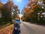 fall colours road.jpg