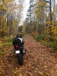 PXL_20201010_152720398.jpg