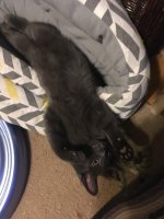 thumbnail_IMG_0327 kai.jpg