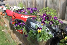 helmet-plant-holder.jpg