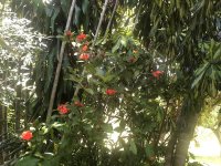 IMG_1638.jpeg