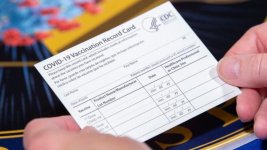 8463766_VaccineCard.jpg