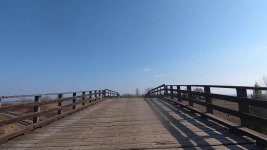 woodbridge lakeshore rd.jpg