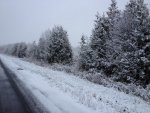 IMG_0055.jpg