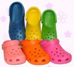 crocs.jpg