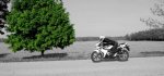 2008HondaCBR4.jpg 2008HondaCBR4.jpg