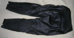 Alpinestars leather pants 2.JPG