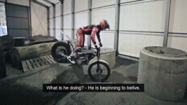 Meme.gif