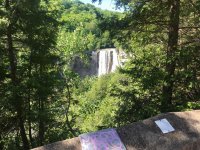 Eugenia falls.jpg