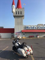 bellville reids dairy.jpg