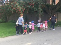 IMG_4241.JPG