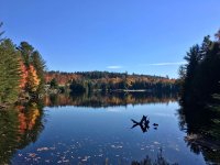03 algonquin somewhere.jpg