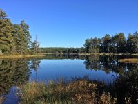 04. algonquin someplace.jpg