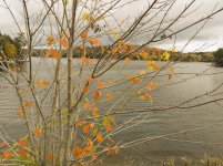IMG_20211017_123245.jpg
