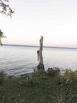 IMG_20211107_164421.jpg