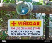 Vinegar for use on marine stings' sign and first aid kit, Cape Tribulation,  Daintree N.P., Queensland, Australia, September Stock Photo - Alamy