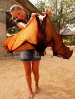 woman-with-giant-golden-crowned-flying-fox.jpg