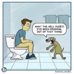 Dog Toilet.jpg