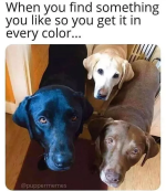 1669248540512.png
