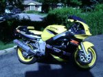 suzuki1.jpg