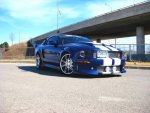 Mustang.jpg