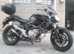 gladius1a.jpg gladius1a.jpg