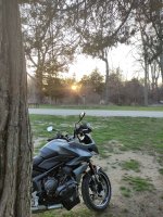 IMG_20230415_194125.jpg