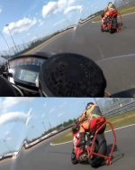 paddock_stand.jpg